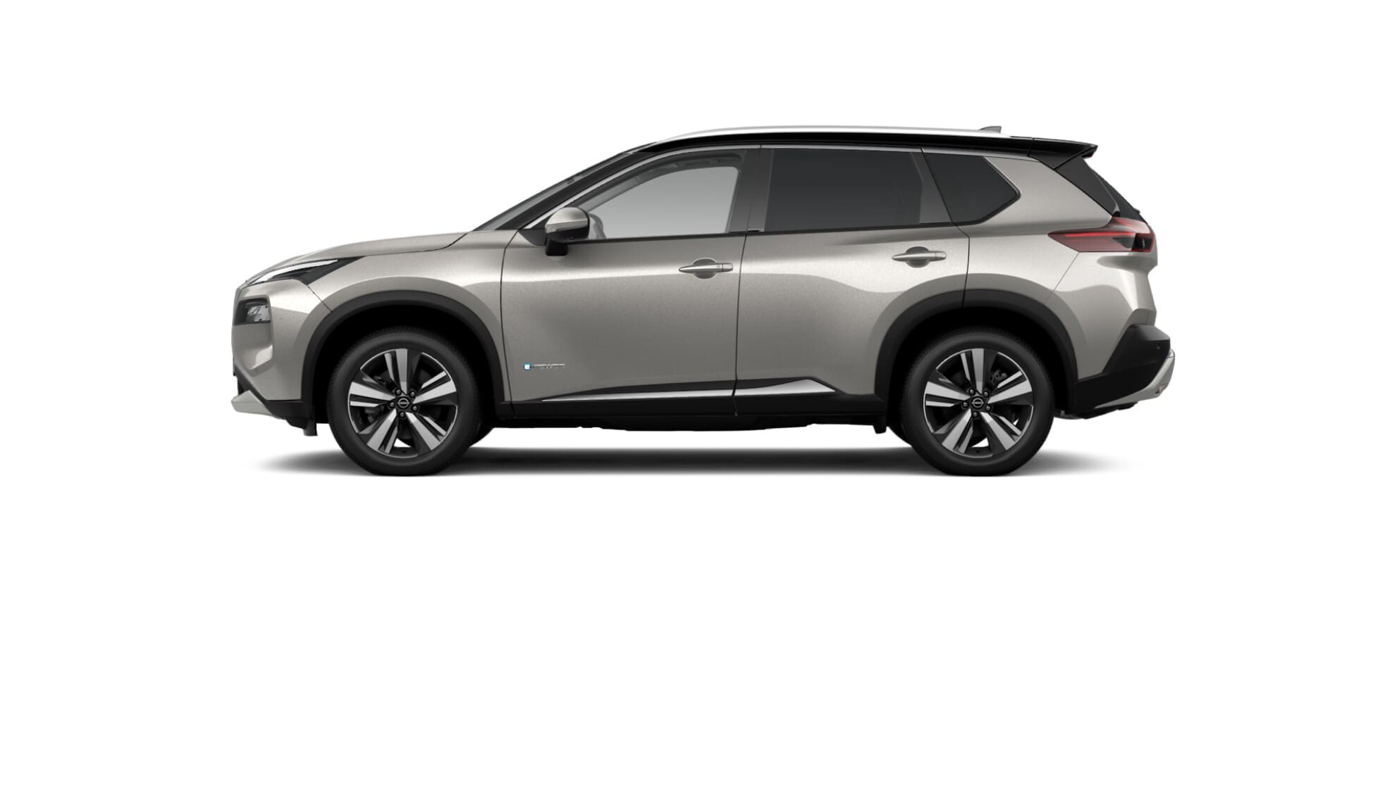 Champagne Silver with black roof