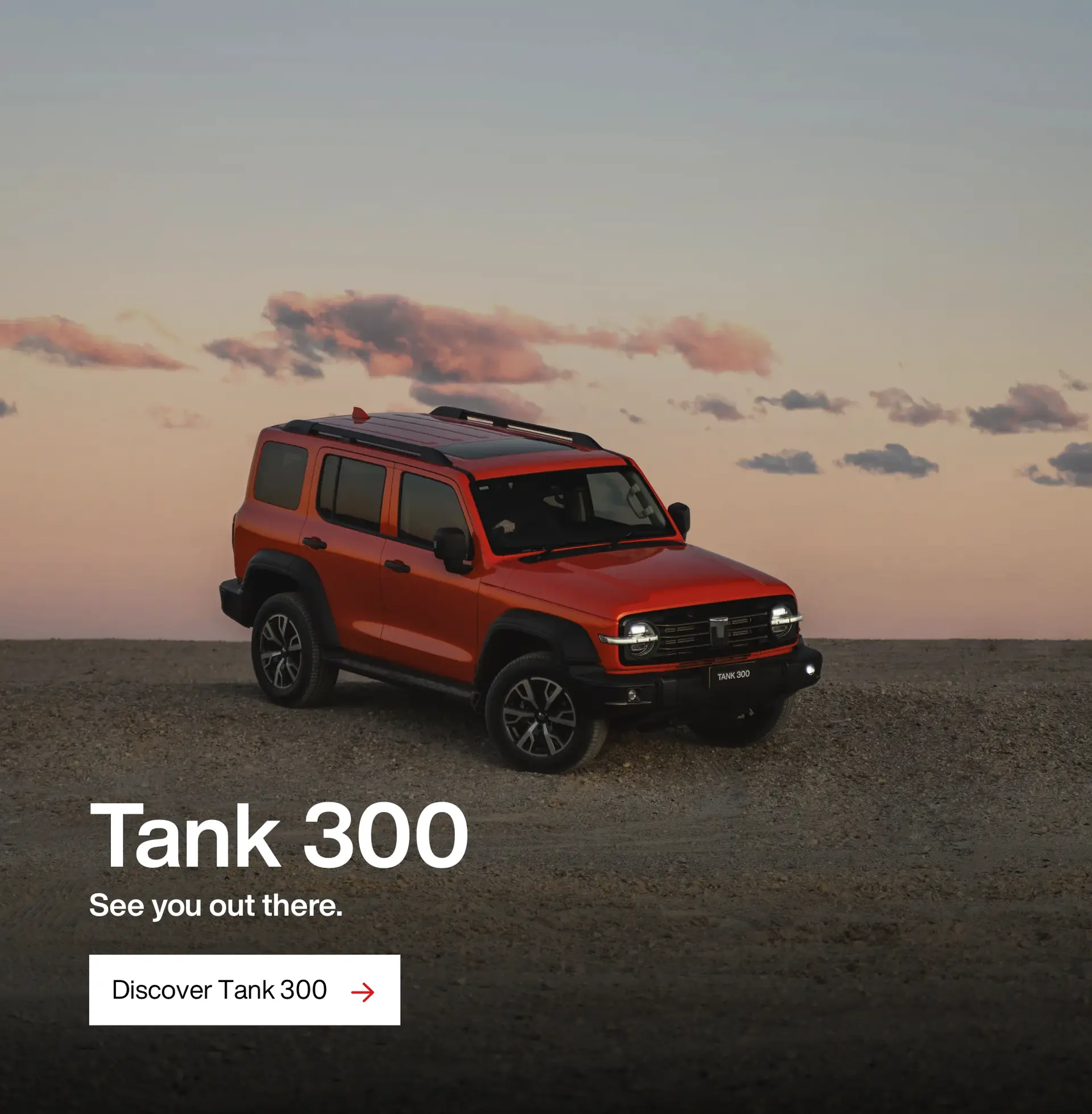 Tank 300